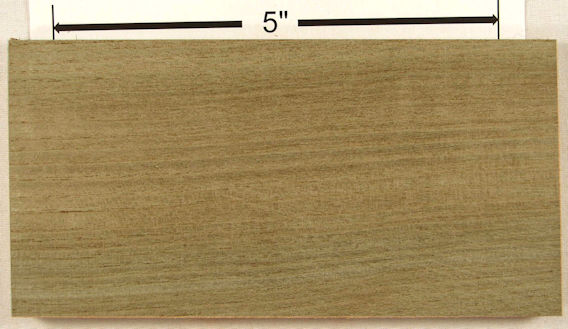 sassa--nページ sassafras 5 s25 plh.jpg